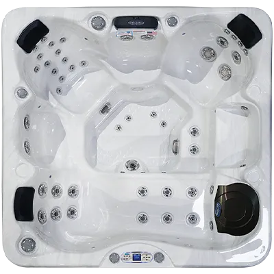 Avalon EC-849L hot tubs for sale in Peabody